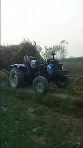 23 नवम्बर 2025