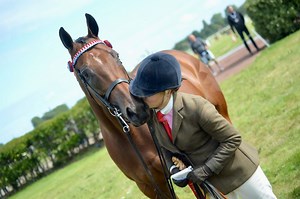 RoR Dressage League Novice 37A 2017 Championship 2023 – 2024 / Presentation Class 25 - Prelim 17A - The Jockey Club RoR National Championships 2024 at Aintree - 2024 | Videos, Live Streams, Films and Shows | ClipMyHorse.TV