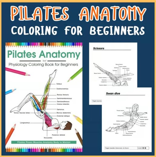 Pilates Anatomy Coloring Book, Muscle Physiology for Beginners (digital Download) - Etsy