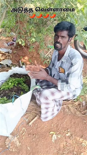 Angalee Neeya Nana Jodi on Instagram: "மிளகாய் நாற்று"