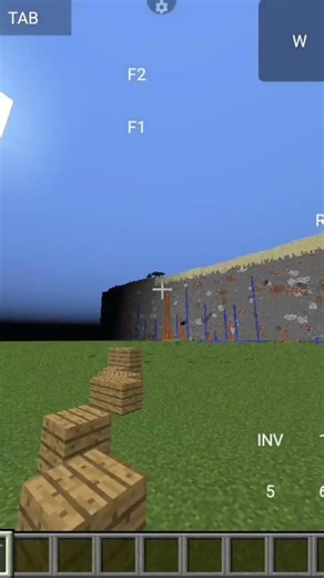 I Found This On My 1.8 Java Flat World! Comment what this is (I don't know commands )
