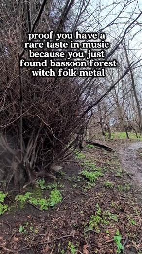welcome to the Realm of Embers! not everyone would get this sort of thing on their feed #newmusic #bassoon #folkmetal #forestwitch #upcomingartist
