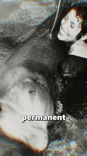 The woman who lived for months with a dolphin #documentary #curiosities