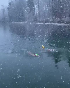47K views · 877 reactions | Snow swim, anyone? ☃️  swimmerpsychologist on Instagram | MySwimPro | Facebook