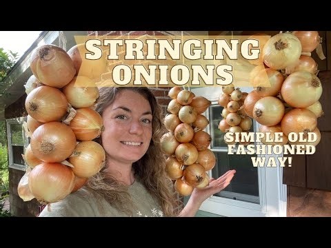 How to Hang Onions for Long Term Storage | Easy Old Fashioned Way!