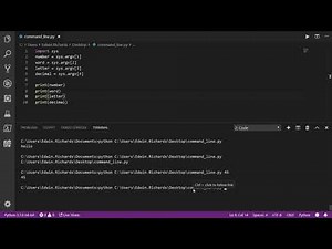 Command Line Arguments Explained