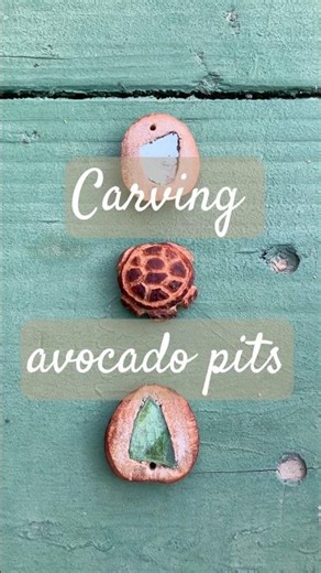 The first Avocado pit I carved part 2