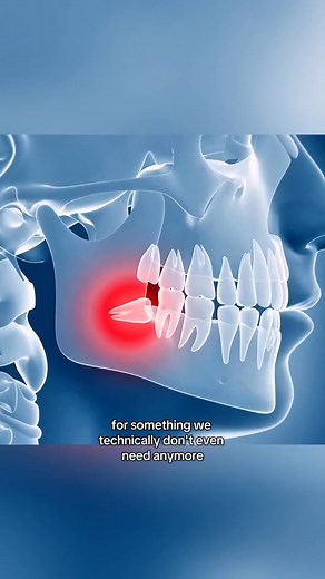 📜 Uncover fascinating history stories and facts you never knew! 🤯 From ancient civilizations to surprising historical moments, get ready to be amazed by the hidden gems of the past. Let’s dive into history’s secrets together and explore the untold stories that shaped our world, and the stories that are currently shaping it 🌍. INVENTIONS From the Past That Were Lost To Time #history #historical #historyfacts #foryoupage #didyouknow #historicalfacts #ancienthistory #forgottenhistory #trending #