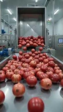 Mass Pomegranate Juicing Inside a 1 Million Bottle Factory | Pomegranate Juice Factory #shorts