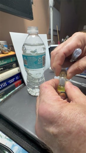 Making colloidal gold from gold chloride extract with EGCG from green tea