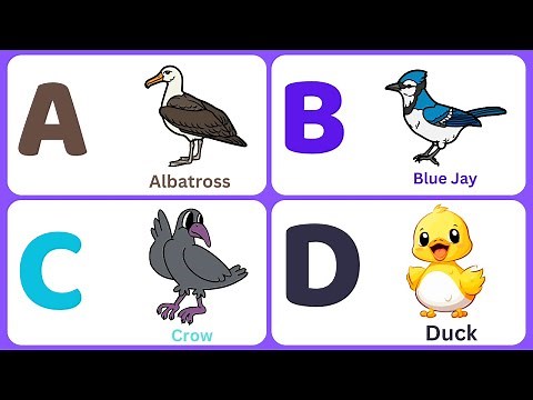 Fun & Educational: Learn A to Z Alphabet with Bird Names for Toddlers and Kids! | abcd | abc bird