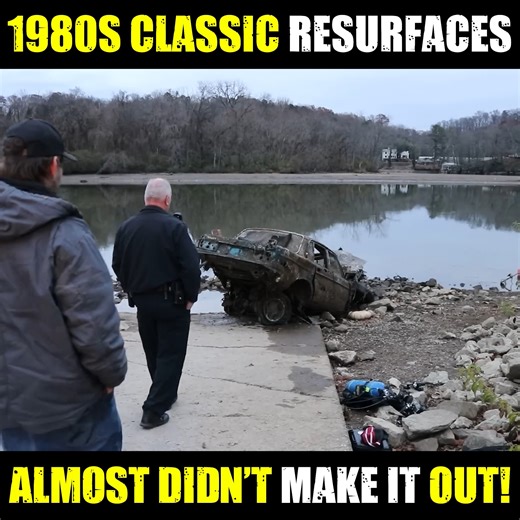 After four decades underwater this 1980s Volvo 264 GL was finally recovered #sunkenvehicle #riverfind #classiccarrecovery #rustyrelics | Wrecked & Recovered