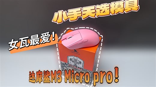 【达摩鲨M3 MICOR PRO】这才是适合女生的小手模具！女瓦快冲！