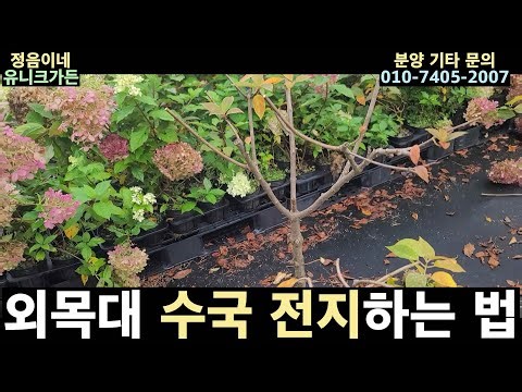 I'll tell you how to make a wooden box with a wooden handle.