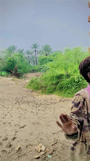 Blochi song dance#zaheerabbas #dance#fyp