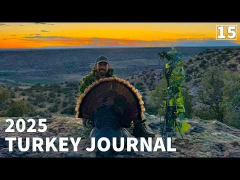 COLORADO PUBLIC LAND TURKEY HUNTING!! Striking Gobblers In UNIQUE PLACES!!