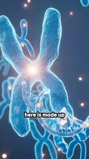 When Does a Chromatid Officially Become a Chromosome?