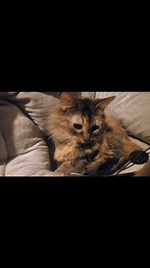 6K views · 311 reactions | Last Saturday we had a sweet lady donate a...