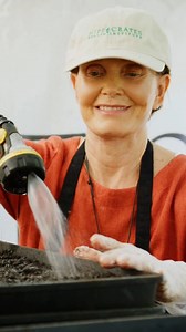 A glimpse into our 'Garden of Vegan' 🌱🌳 Did you know that every sprout, every bloom and every tree is grown and nurtured for a purpose? From healing herbs to mighty Moringa trees, our garden thrives to support our guests' wellness journey. 💚 If you could plant one thing in our Garden of Vegan, what would it be? #HippocratesWellness #GardenOfVegan #HealingPlants #NurturingNature | Hippocrates Wellness