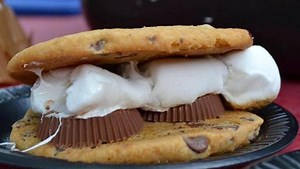 Google Doodle is celebrating s'mores today. Here's why