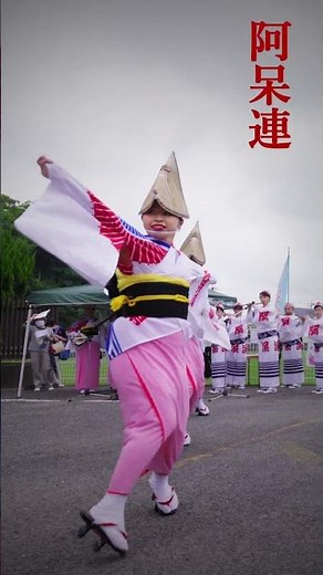 【阿波踊り2024】#阿波おどり #阿呆連 #ダンス #japan