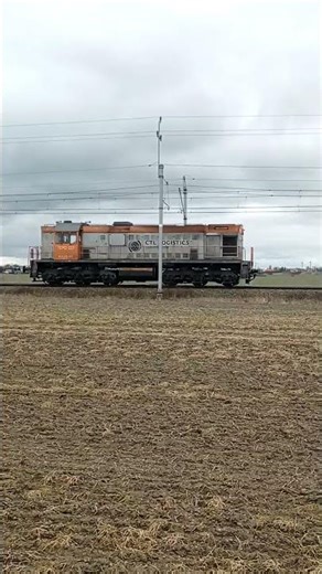 Lokomotywa TEM2 227 #pociąg #kolej #dolnyśląsk #pkp #rail #train #legnica #kolejedolnośląskie