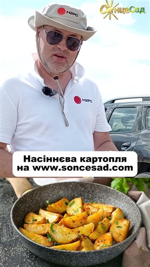 -40% discount on Colomba seed potatoes!