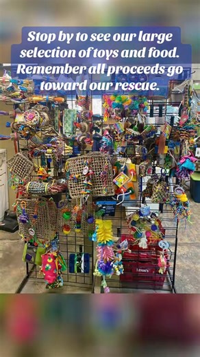 🌟 AZ Exotic Bird Supply: Your One-Stop Shop for Bird Care! 🌟Located at 2724 N Scottsdale Rd in Scottsdale, AZ Exotic Bird Supply has everything you need to keep your feathered friends healthy, happy, and entertained.Our extensive inventory includes:🦜 Premium Food Brands: We did just get our 1st order of Hagen Tropimix, at this time its available in large bird 4lb and small 2lb bag for small birds .Zupreem, Harrison’s, Volkman, TOPs Pellets, Bird Bread, and treats.🍓 Lafaeber’s Nutri-Berries: 