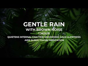 GENTLE RAIN WITH SMOOTHED BROWN NOISE FOR SLEEPING/ FOR FOCUS AND STUDY/ 1 HOUR