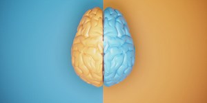 The Split Brain: The Left Hemisphere Dominates Western Society