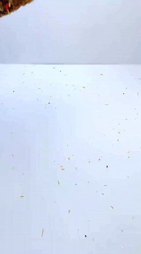 92K views · 923 reactions | SQUISHY ASMR  Chick #asmr #satisfying #viral #trending #fyp #explorepage #sviral #mustwatch #viralvideo #contentcreator #sharetheload #goviral #viralcontent #reels #viralcontentcreator #vibecheck #funnyvideos #dancechallenge #forudt #youtubeshorts #socialmedia #watchnow | FUFU Arms | Facebook