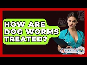 How Are Dog Worms Treated? - Ask A Pet Vet