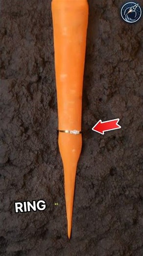 This woman lost her marriage ring in the garden | But found after 15y 😱🫡 #respect #shorts #ytshorts