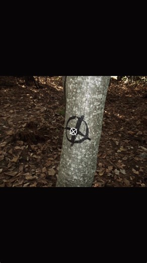 #creepypasta #creepypastas #slenderthearrival #marblehornets #darkforest