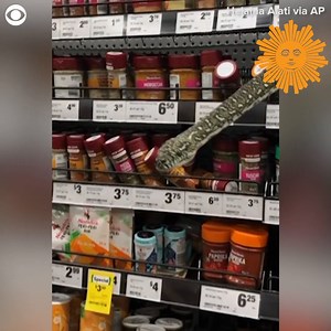 13K views · 315 reactions | This python was definitely in the wrong aisle at a grocery store in Australia. https://cbsn.ws/3Ba67ro | CBS Sunday Morning | Facebook