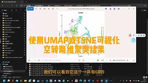 使用UMAP或TSNE可视化空间转录组降维聚类结果教程，代做各领域生信分析和辅导