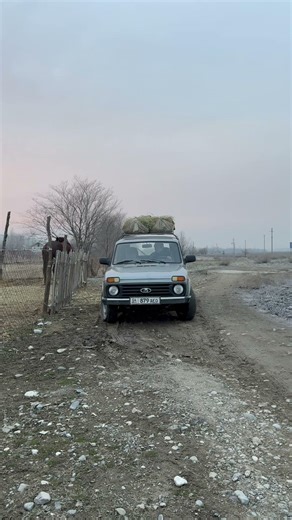 🐎 Evening Feeding Time | Horse Life