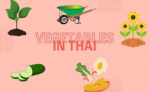 Garden Words And Vegetables In Thai | Thai With Grace