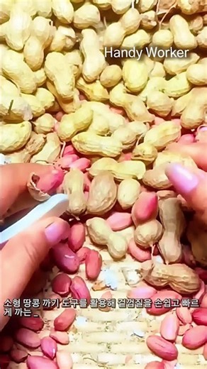 땅콩 껍질 손쉽게 까기 도구 작업 현장 #worker #process #peanut #peeling #tool