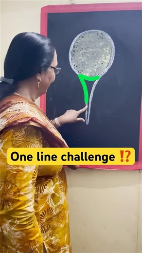 One Line Drawing Challenge! Can You Do It?442