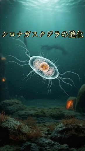 シロナガスクジラの進化 #進化 #進化論 #シロナガスクジラ