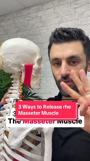3 Ways to Release the Masseter Muscle