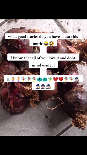 what good stories do you have about this muthi😂🤣 I know that all of you love it and dont mind using it 🦩️🦩️🧜‍♀️🧜‍♀️🧚‍♀️🧚‍♀️🧚‍♀️🦚🦚🧚‍♂️❤❤🧚‍♀️🧚‍♀️🧙🏼🧙🏼🧙🏼🧙🏼. #skanama #idlozilami #imbiza #umndauspirit #isichithocleansing #spiritualjourney