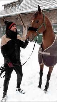 Pferd springt aus Untersuchungsstand nach Kolik OP