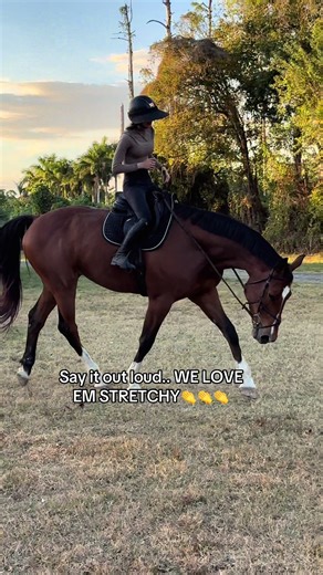 Let me see ur stretchy ponies..👀Sry the end was for the girl I was fighting with on another video… lolll. #wellington #equestrian #horsesoftiktok #horse #fypage