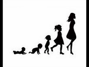 Understanding how human beings walk: (Gait cycle and biomechanical principles of phases of walking)