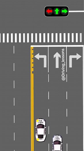 Driving Lessons on TikTok