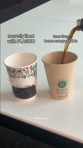 Plastic lined cup vs. Little Green Panda cup