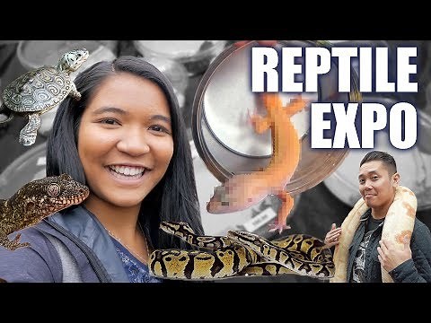 GETTING MY NEW LEOPARD GECKO! | PACNWRS Reptile Expo 2019