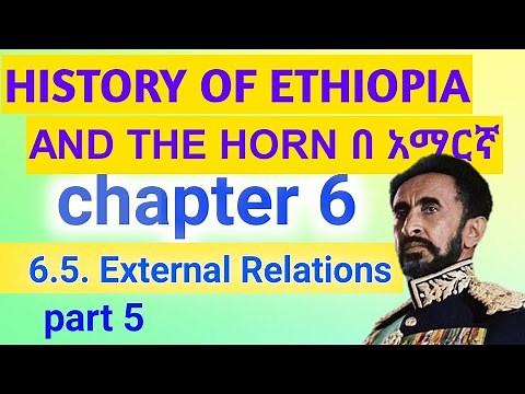 History and Ethiopia the Horn chapter 6 Part 5 በአማረኛ | 6.5. External Relations